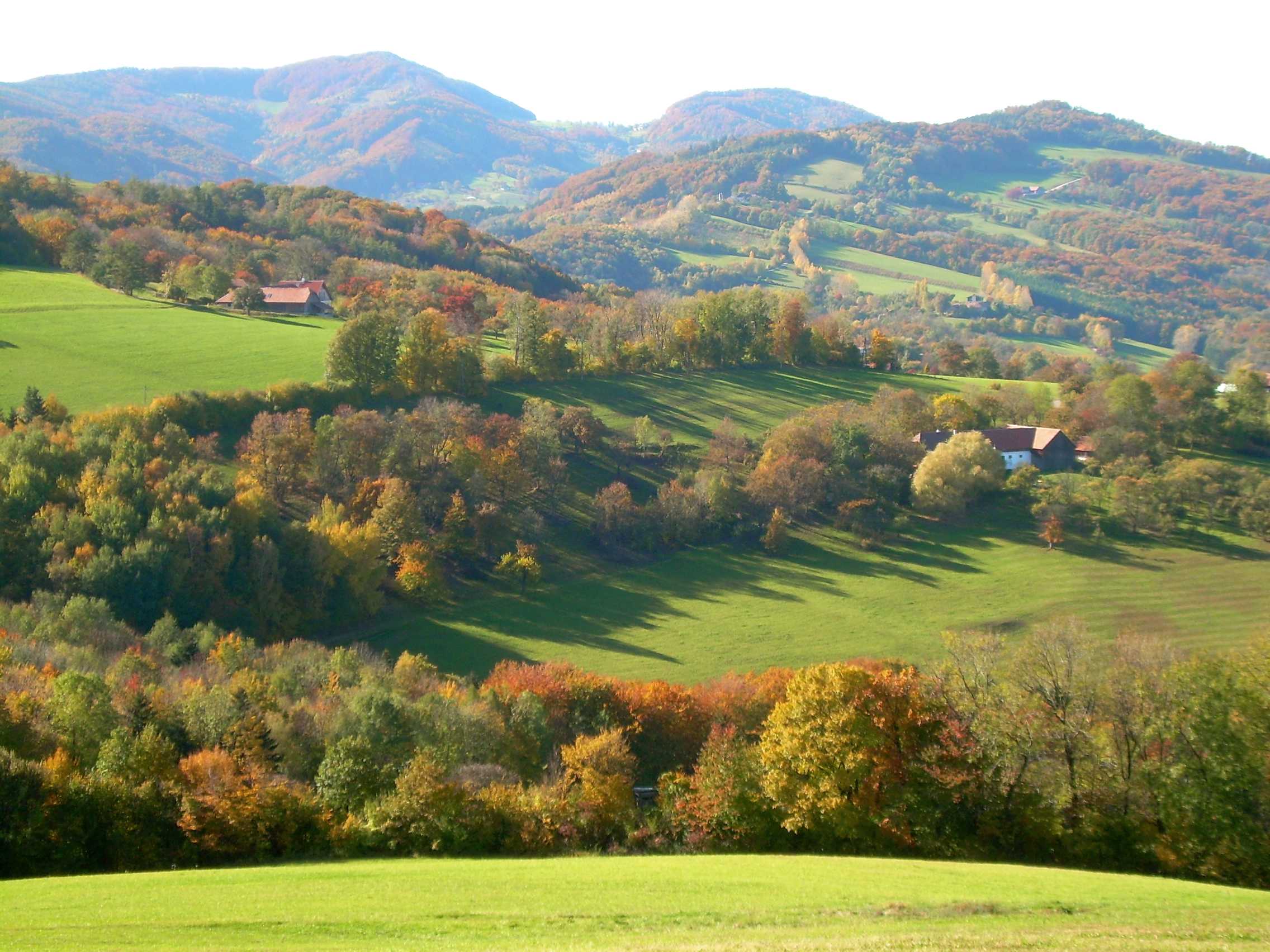 Wienerwald__Gfoehlberg_Kasberg_Gaisberg_Bernhard_Baumgartner-1.jpg