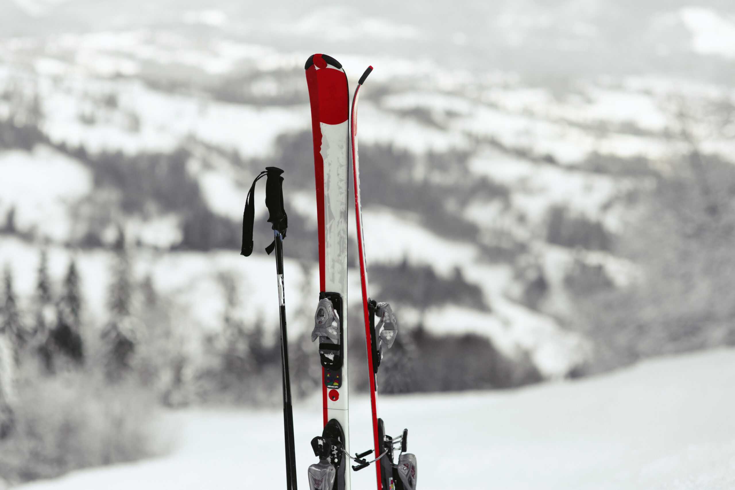 red-white-skis-put-snow-with-great-mountain-view-them c free pix.jpg