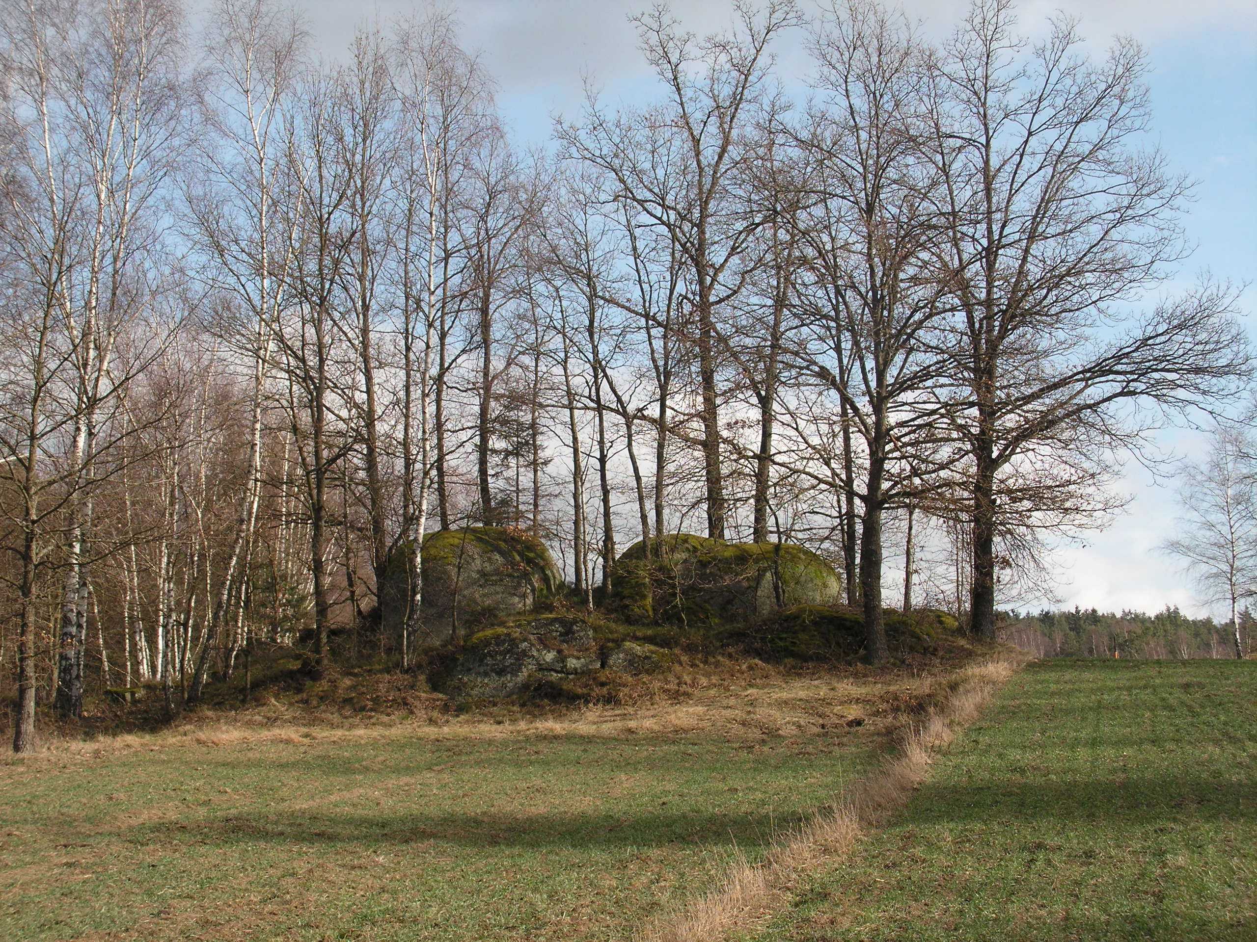 Waldviertler_Bichl_bei_Gmünd_nsne_ C Abt.RU5