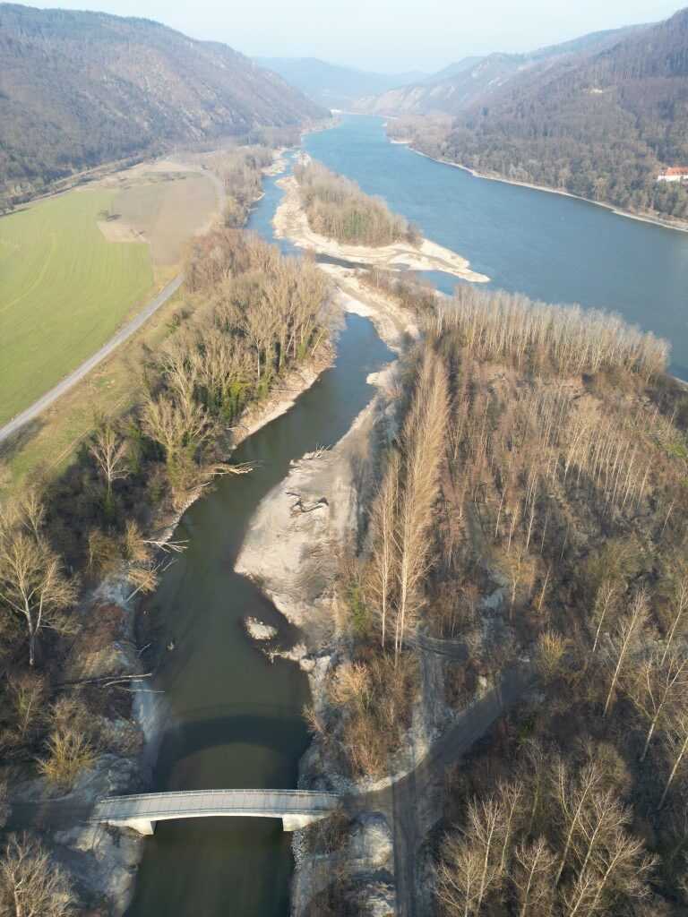 Aufweitungsflaeche-Schallemmersdorfer-Donaunebenarm-mit-Grimsinger-Insel-und-Nebenarm-im-Hintergrund-Stand-Fruehjahr-2025