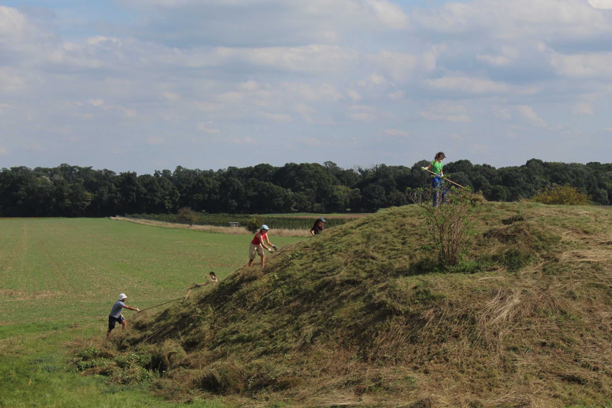 Volunteers-auf-Weinviertler-Trockenraseninseln